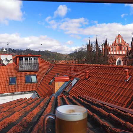 Private Sauna & 4 Bedrooms Old Town Rooftop Apartment VNO Exterior foto