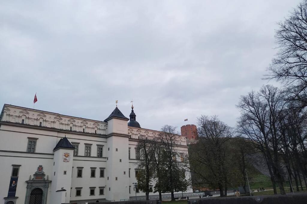 Private Sauna & 4 Bedrooms Old Town Rooftop Apartment VNO Exterior foto