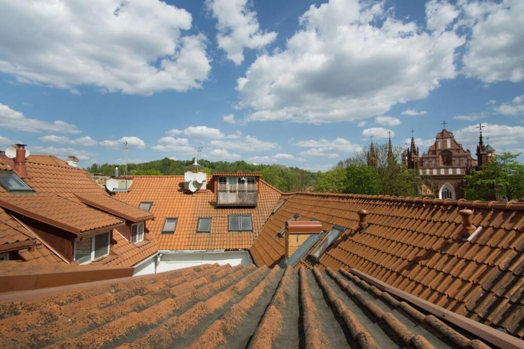 Private Sauna & 4 Bedrooms Old Town Rooftop Apartment VNO Exterior foto